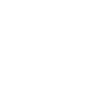 Form Icon